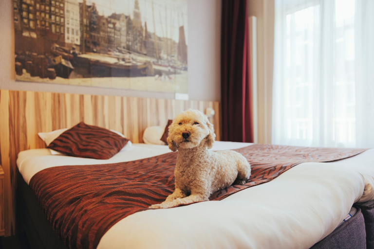 Room 5, Boutique Hotel Asterisk, a family run hotel, Amsterdam