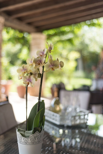 Food & Drinks 4, Apartments Villa Renata, Murter
