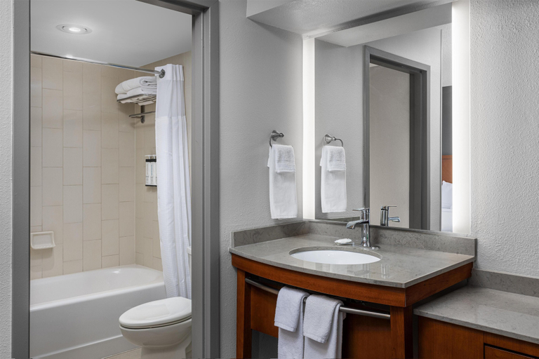 Bathroom 3, Hyatt Place Dulles Airport North, Loudoun