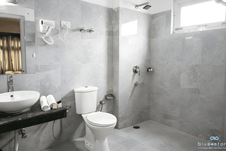 Bathroom 4, Hotel Blue Stone, Leh