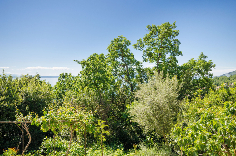 Others 4, Apartments Mladen Jelica, Opatija/Veprinac
