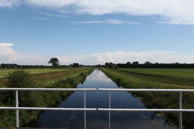 View from property 3, Appealing Holiday Home in Guelders near Forest, Lochem