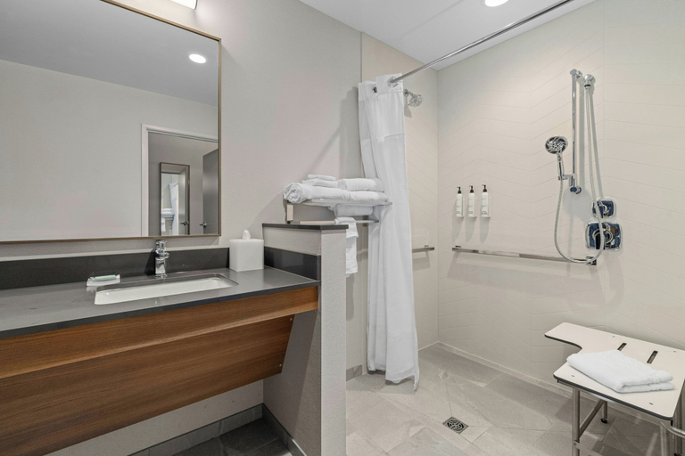 Bathroom 4, Fairfield By Marriott Inn & Suites Dixon, Lee