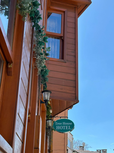 Exterior detail 5, Tree house hotel, Fatih