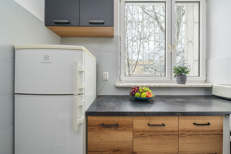 Private kitchen 3, Lumina cozy 3-room apartment in Warsaw, Warsaw