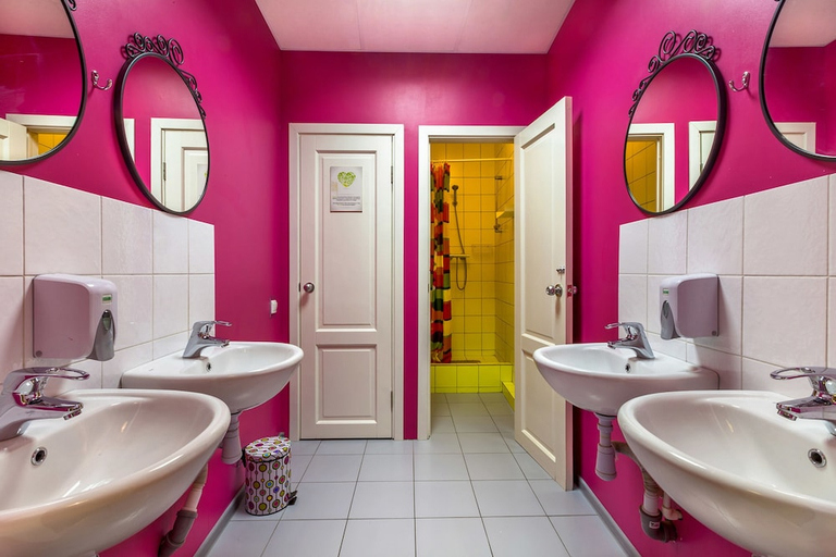 Bathroom 2, Friends on Vosstaniya, Sankt-Peterburg gorsovet