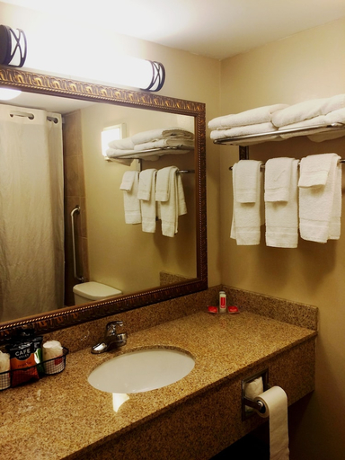 Bathroom 4, Econo Lodge Darien Lakes, Genesee
