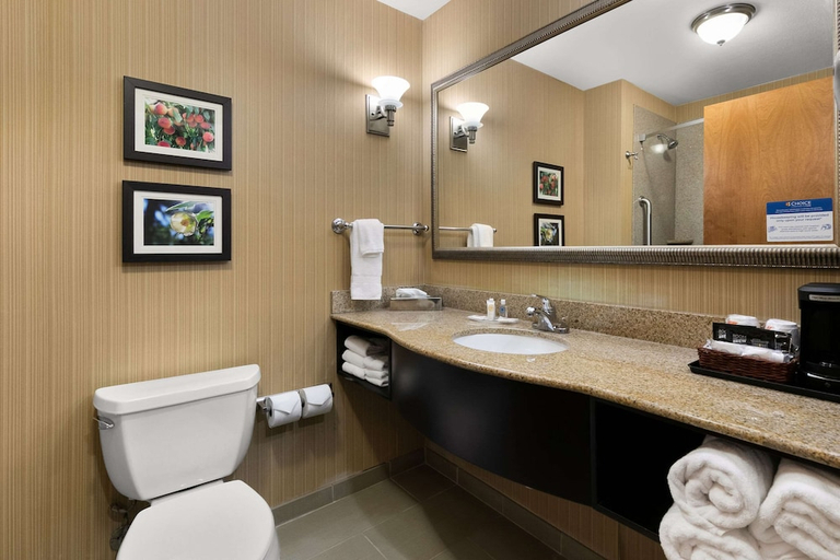Bathroom 4, Comfort Suites Commerce, Banks