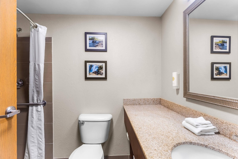Bathroom 4, Comfort Inn & Suites Sikeston I-55, Scott