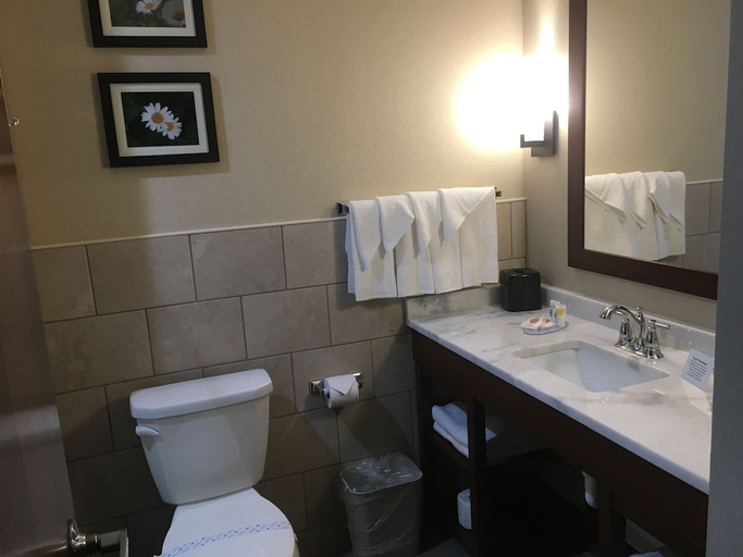 Bathroom 4, Comfort Suites Fishkill near Interstate 84, Dutchess