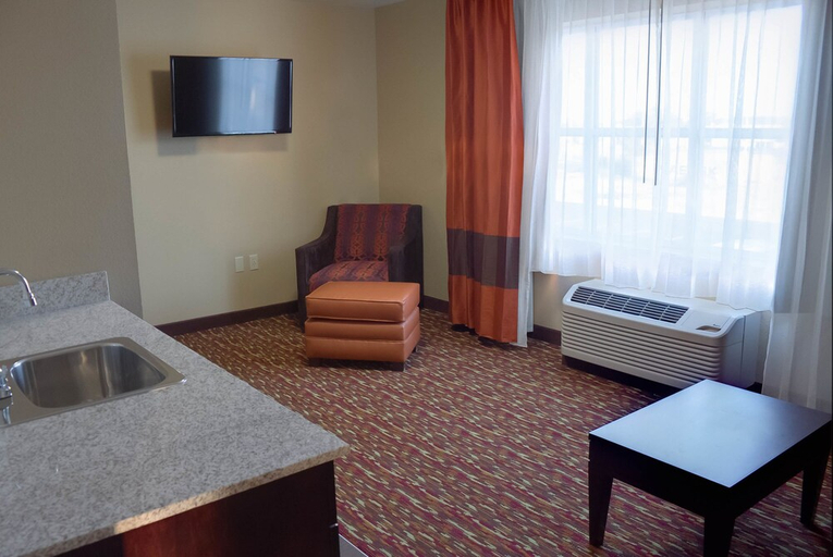 Others 4, Comfort Inn & Suites Artesia, Eddy
