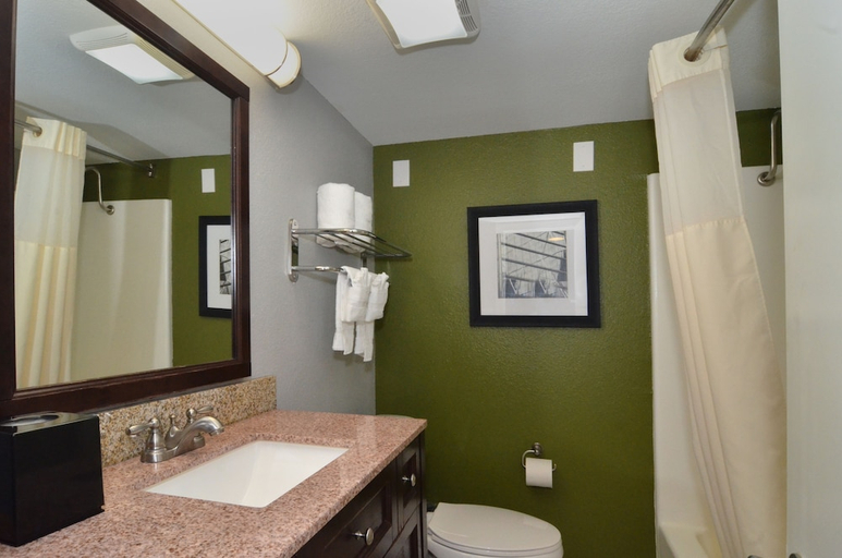 Bathroom 2, Rodeway Inn & Suites Downtown North, Travis