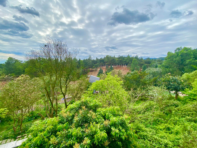 Others 4, Nam Sơn Bungalows, Hoàn Kiếm