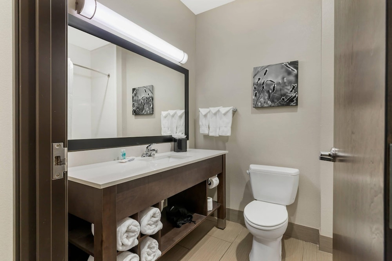 Bathroom 3, Comfort Inn & Suites, Rogers