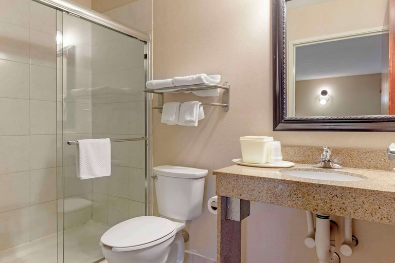 Bathroom 4, Quality Inn Raleigh Downtown, Wake