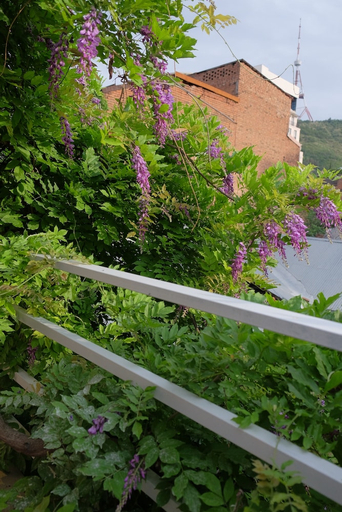 Exterior & Views, Blueberry Nights Hotel, Tbilisi