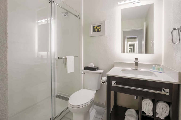 Bathroom 4, Clarion Hotel Conference Center Maggie Valley, Haywood