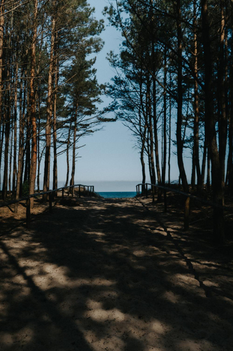 Others 5, Domki Wierzbówka Mielno, Koszalin