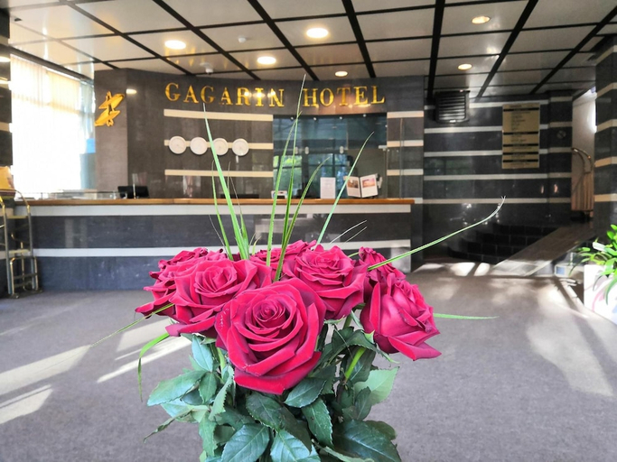 Public Area, Hotel Gagarin, Anivskiy rayon