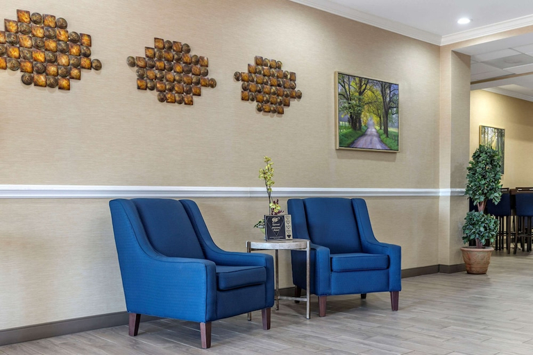 Public Area, Comfort Inn & Suites Orangeburg, Orangeburg