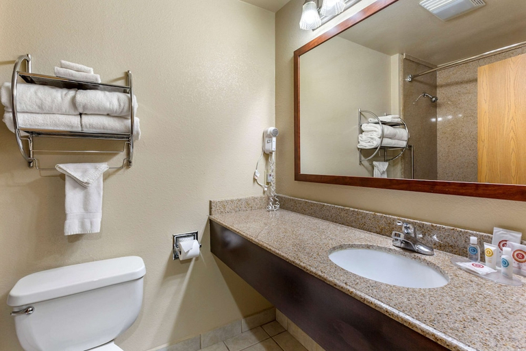 Bathroom 4, Comfort Inn & Suites Deming, Luna