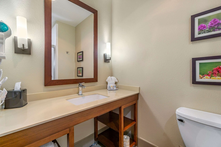 Bathroom 4, Comfort Inn & Suites Lakewood by JBLM, Pierce