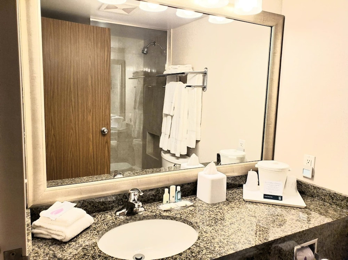 Bathroom, Clarion Hotel & Suites Riverfront, Oswego