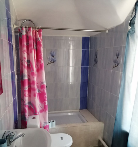 Bathroom 4, Hotel Lotos, Irkutskiy rayon