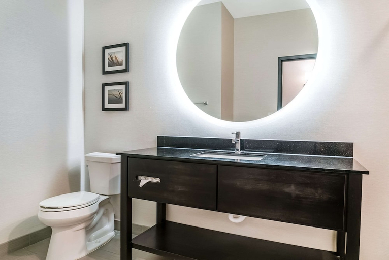 Bathroom 4, Comfort Inn & Suites Adrian, Lenawee