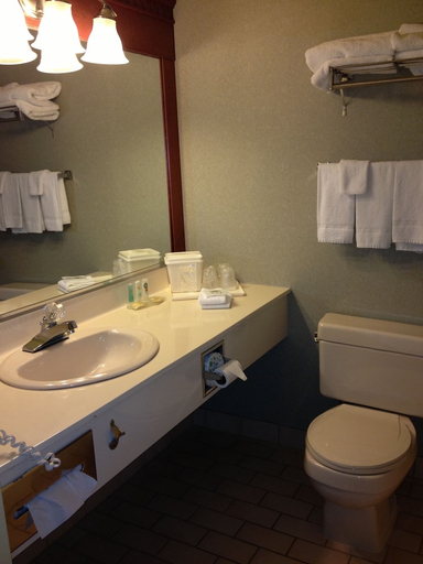 Bathroom, Quality Inn & Suites Bay Front, Algoma