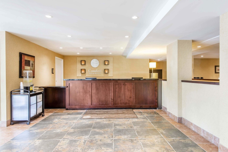Public Area, Comfort Inn & Suites, Simcoe