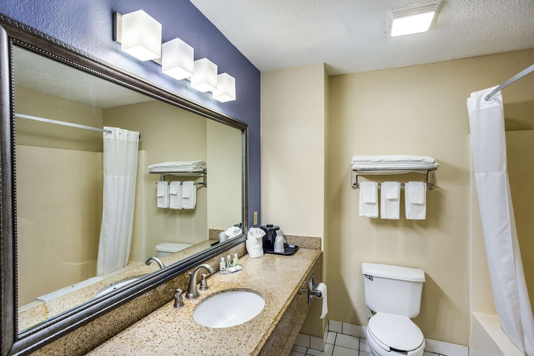 Bathroom, Quality Inn Charleston South, Kanawha
