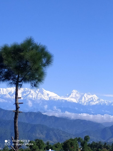 2, Almora Houses, Almora