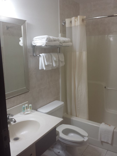 Bathroom 4, Quality Inn - Niagara Falls Blvd, Niagara