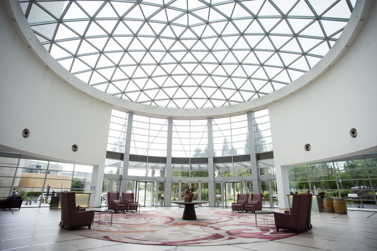 Public Area 4, InterContinental Mendoza, Guaymallén