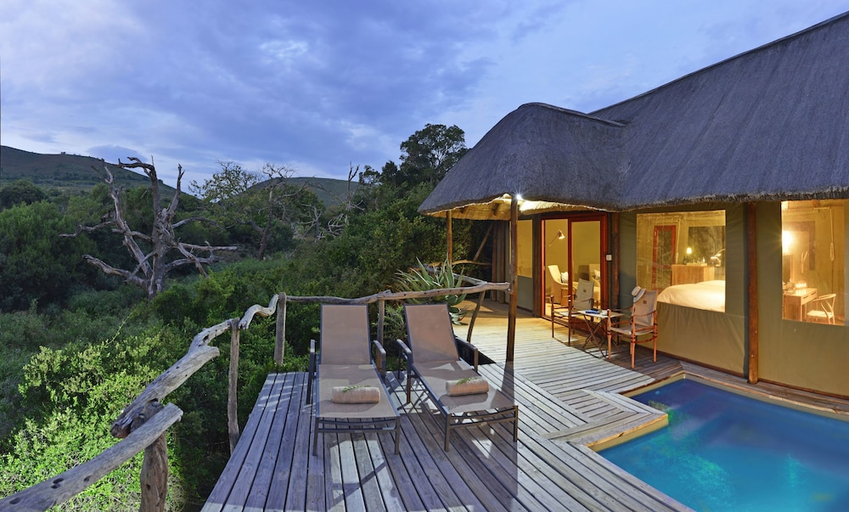 Sport & Beauty 2, Shamwari Bayethe, Cacadu