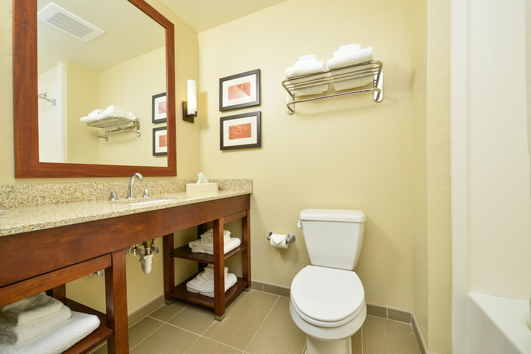 Bathroom 4, Comfort Suites Airport-University, Gallatin