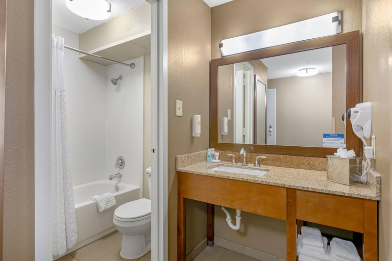 Bathroom 4, Comfort Inn Memphis Downtown, Shelby