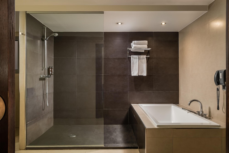 Bathroom 5, ALEGRIA President