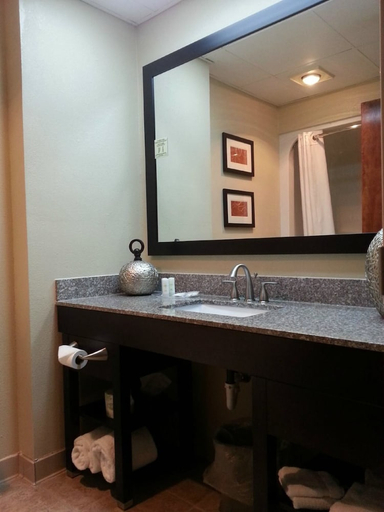Bathroom, Comfort Suites Lebanon, Wilson