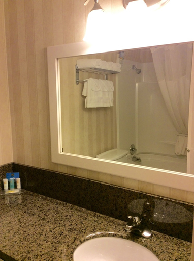 Bathroom, Quality Inn & Conference Centre, Division No. 8