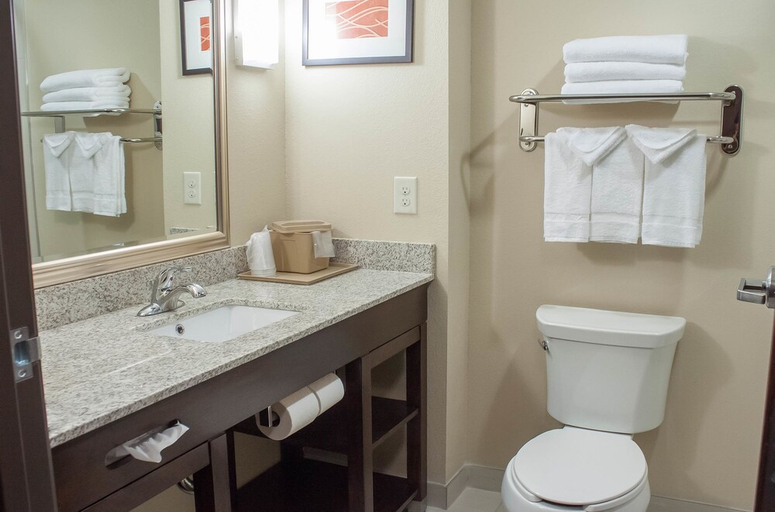 Bathroom 3, Comfort Inn & Suites Artesia, NM, Eddy