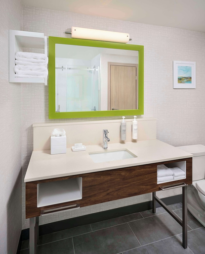 Bathroom, Hampton Inn by Hilton Hamilton, Hamilton