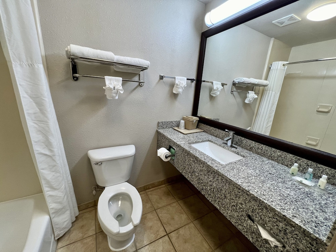 Bathroom 4, Quality Inn & Suites, Near University, McLennan