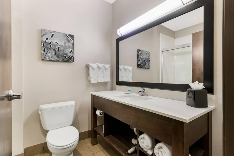 Bathroom 4, Comfort Inn & Suites, Rogers