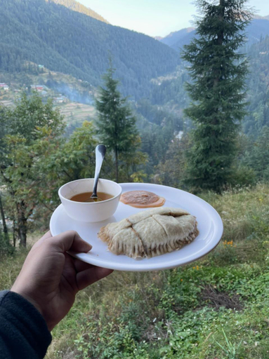 Food & Drinks 4, woodland treehouse jibhi, Kullu
