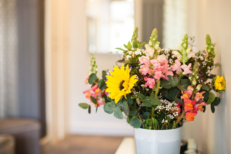 Others 4, Boschhuis Apartments - Stellenbosch, Cape Winelands