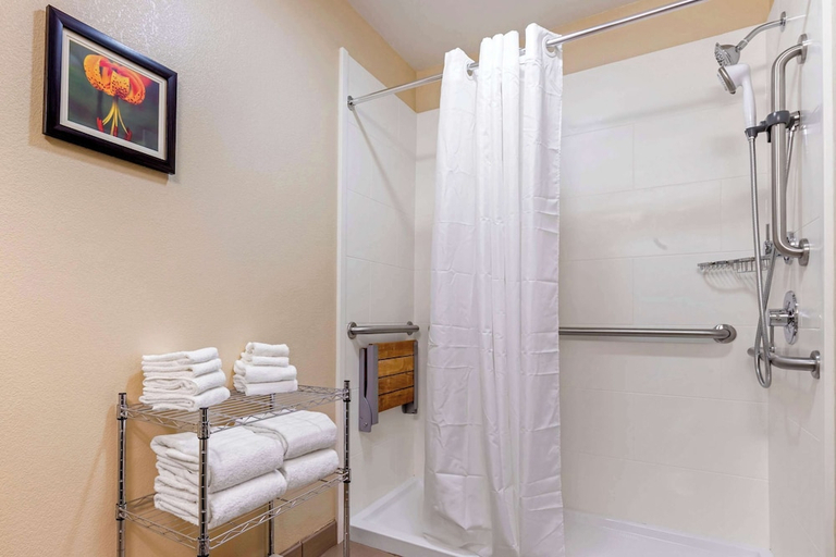 Bathroom 4, Comfort Suites Boone - University Area, Watauga