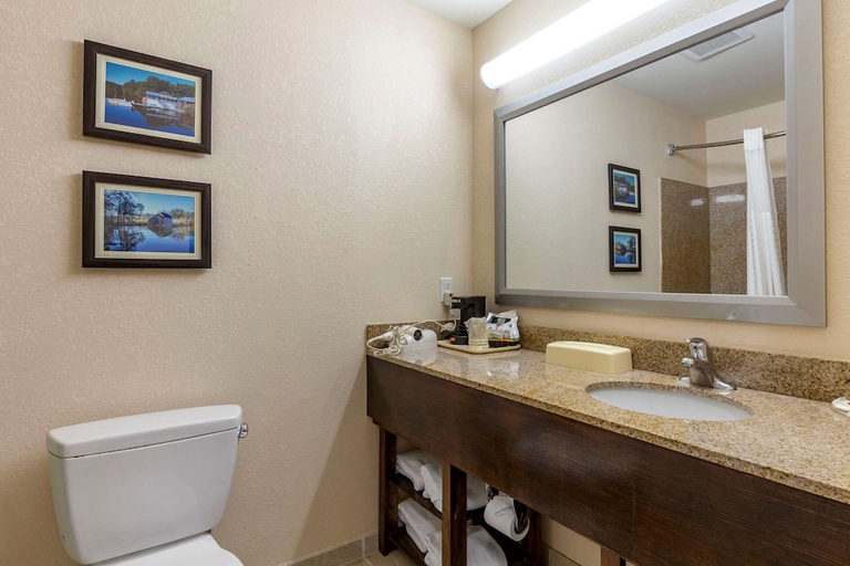Bathroom 4, Comfort Inn Smithfield near I-95, Johnston