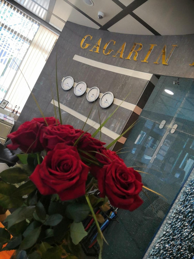 Exterior & Views 2, Hotel Gagarin, Anivskiy rayon